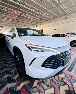 بي واي دي سونغ L DM-i